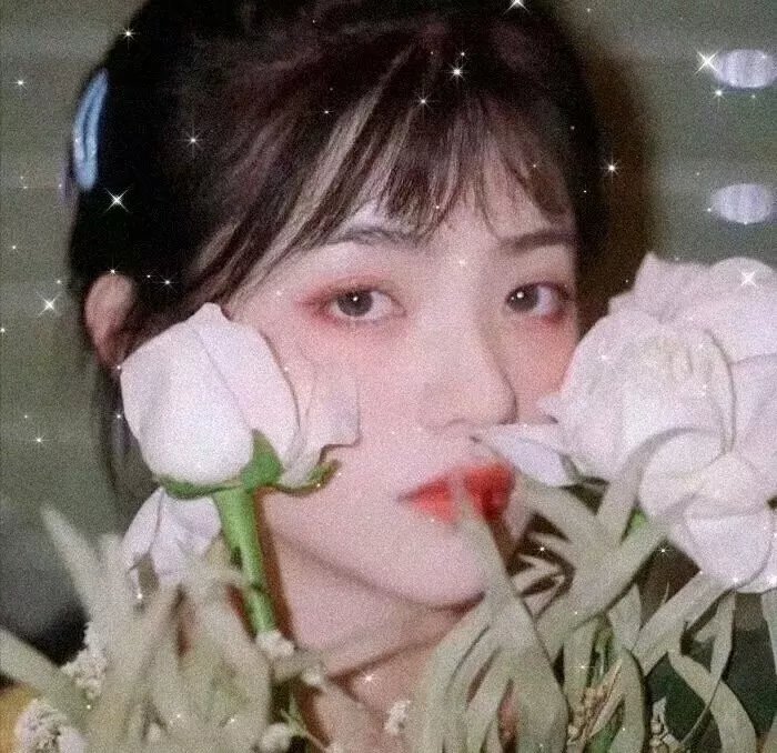 首尔沙龙